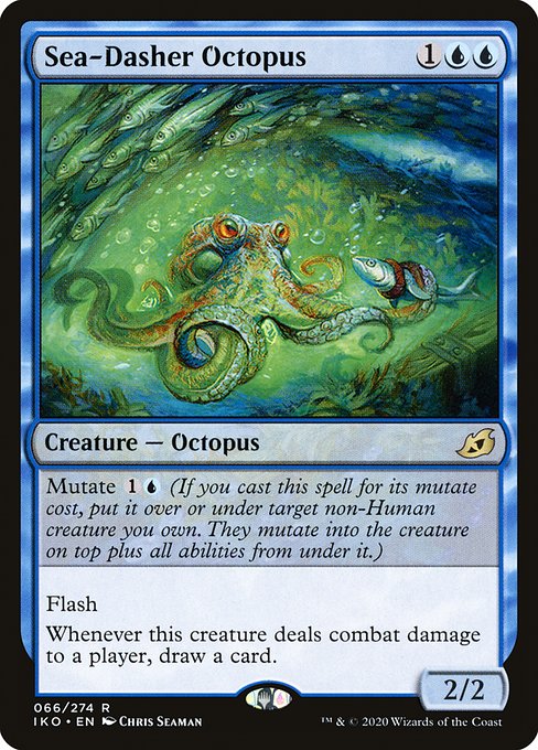 Sea-Dasher Octopus front
