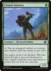 Citanul Stalwart (BRO) 175