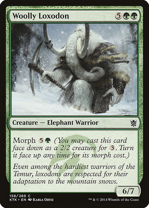 Woolly Loxodon front