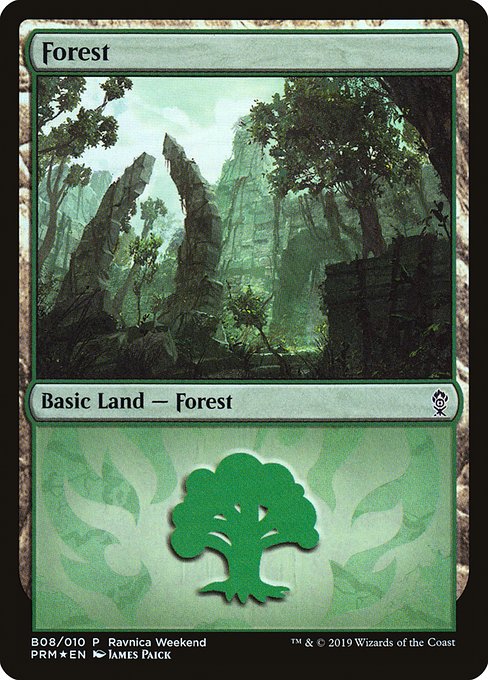 Forest front