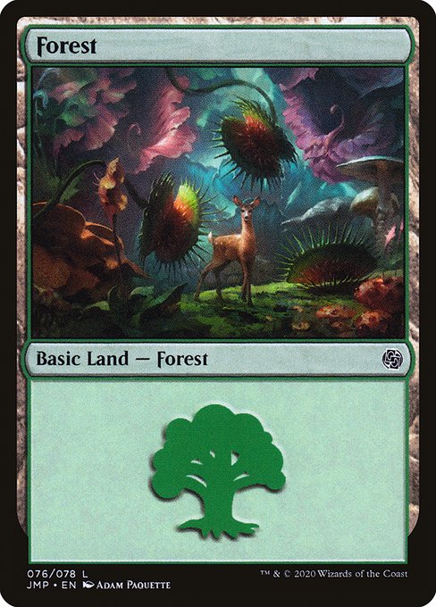 Forest front