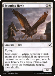 Scouting Hawk (CLB) 41