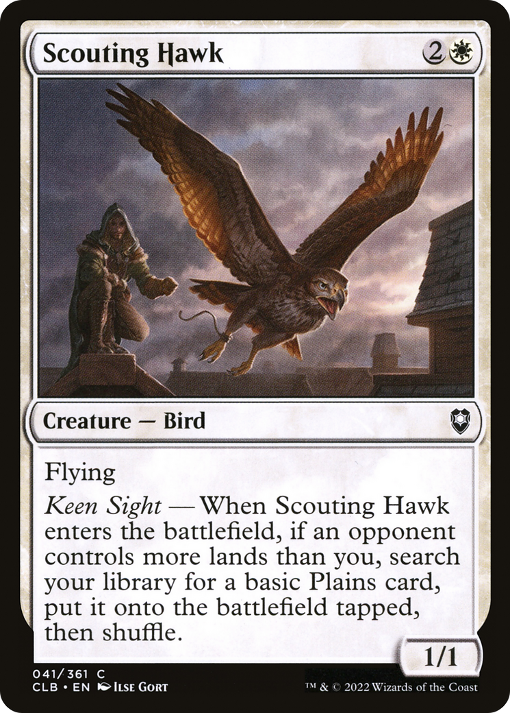Scouting Hawk (CLB) 41