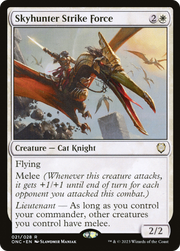 Skyhunter Strike Force (ONC) 21