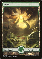 Forest front