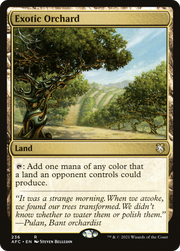 Exotic Orchard (AFC) 236