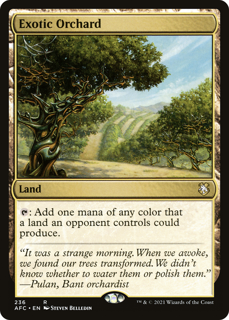Exotic Orchard (AFC) 236