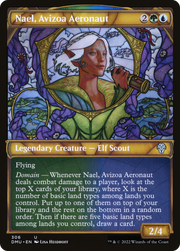 Nael, Avizoa Aeronaut (DMU) 306 - WZRD TCG