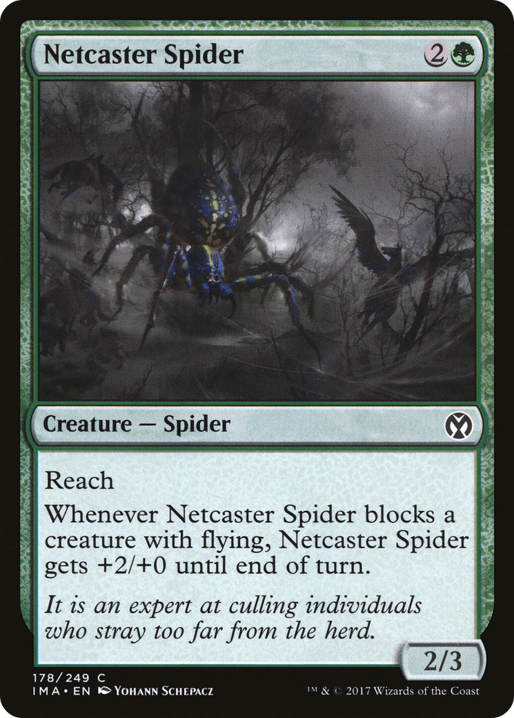 Netcaster Spider (IMA) 178 - WZRD TCG