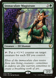 Immaculate Magistrate (CMR) 234