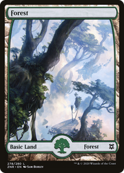 Forest (ZNR) 278