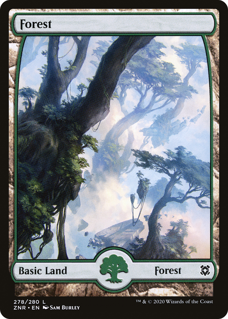 Forest (ZNR) 278