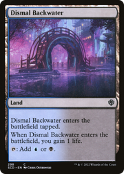 Dismal Backwater (SCD) 298