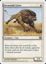 Savannah Lions front