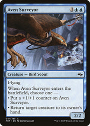 Aven Surveyor front