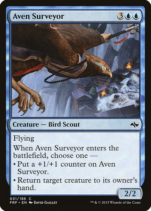 Aven Surveyor front