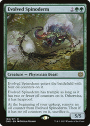 Evolved Spinoderm front