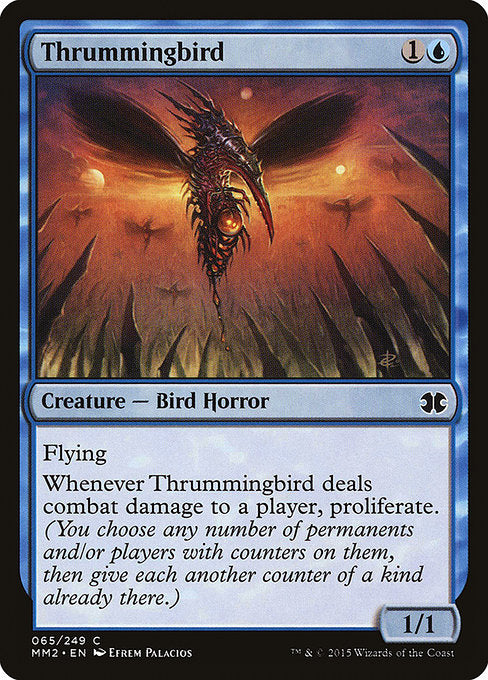 Thrummingbird front