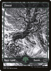 Forest front