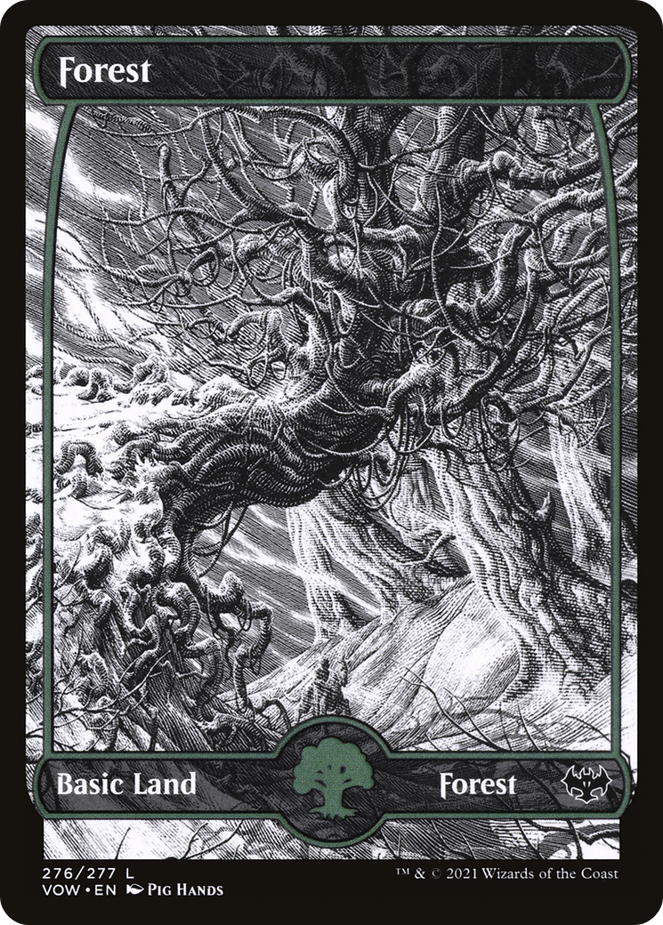 Forest (VOW) 276