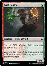 Wild Cantor (RVR) 239 - WZRD TCG