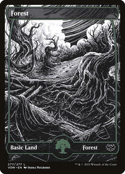 Forest front