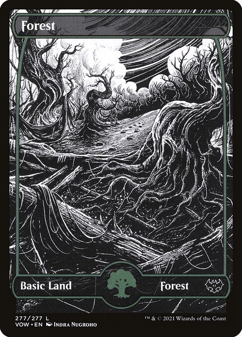 Forest front