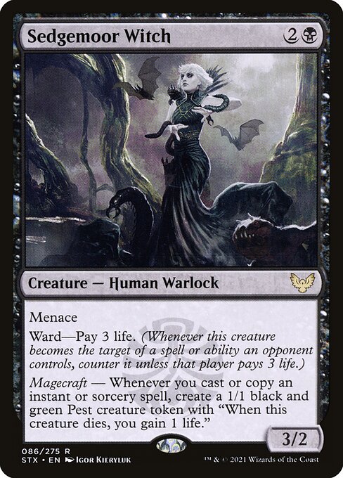 Sedgemoor Witch front