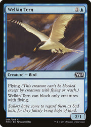 Welkin Tern front