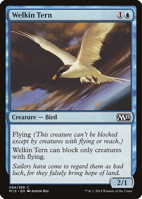 Welkin Tern front
