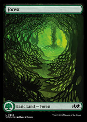 Forest front