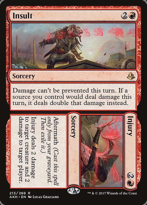 Insult // Injury front