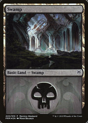 Swamp front