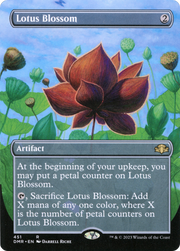 Lotus Blossom (DMR) 451