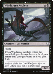 Windgrace Acolyte (DOM) 112 - WZRD TCG