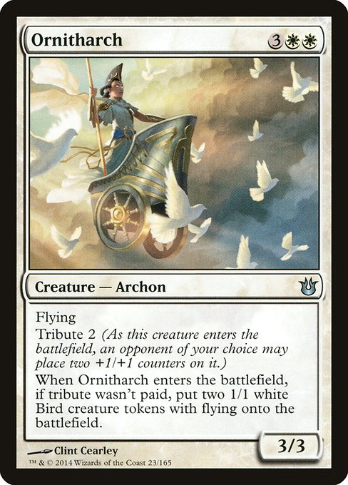 Ornitharch front