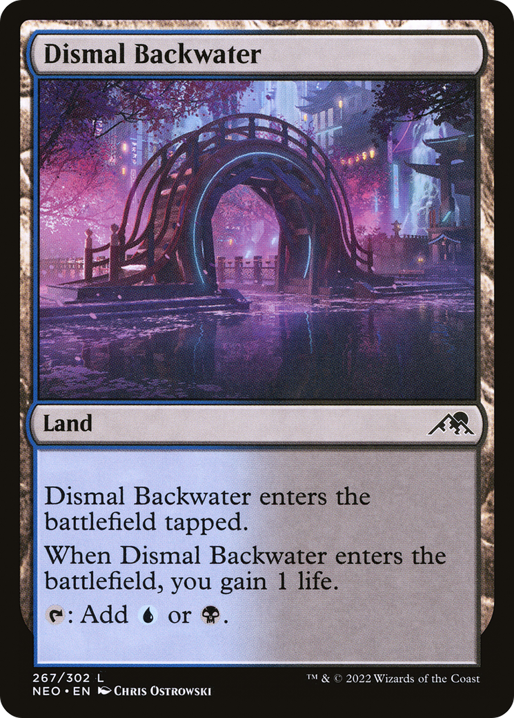 Dismal Backwater (NEO) 267