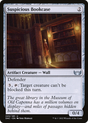 Suspicious Bookcase (SNC) 245