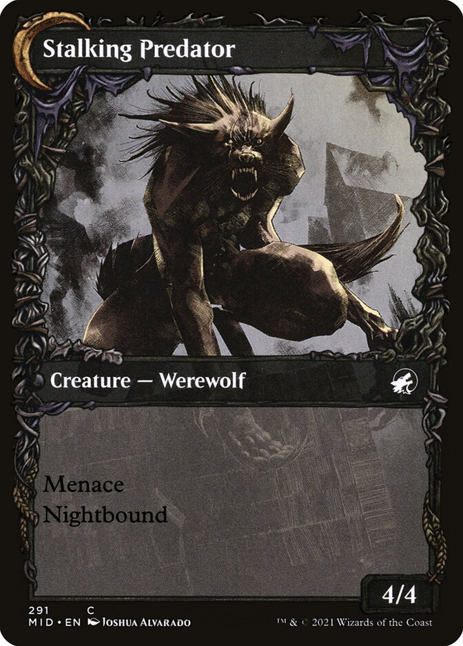 Shady Traveler // Stalking Predator (DFC) (DBL) 291 - WZRD TCG