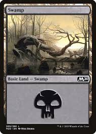 10 pack non-foil lands